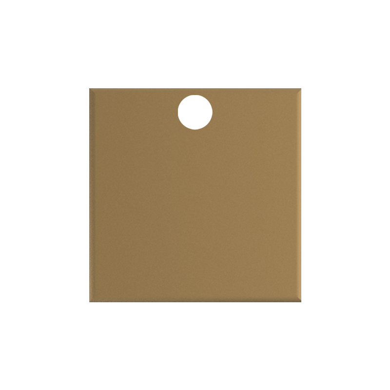 Chip-PNG-2_0004_Finish-Chips-_SB