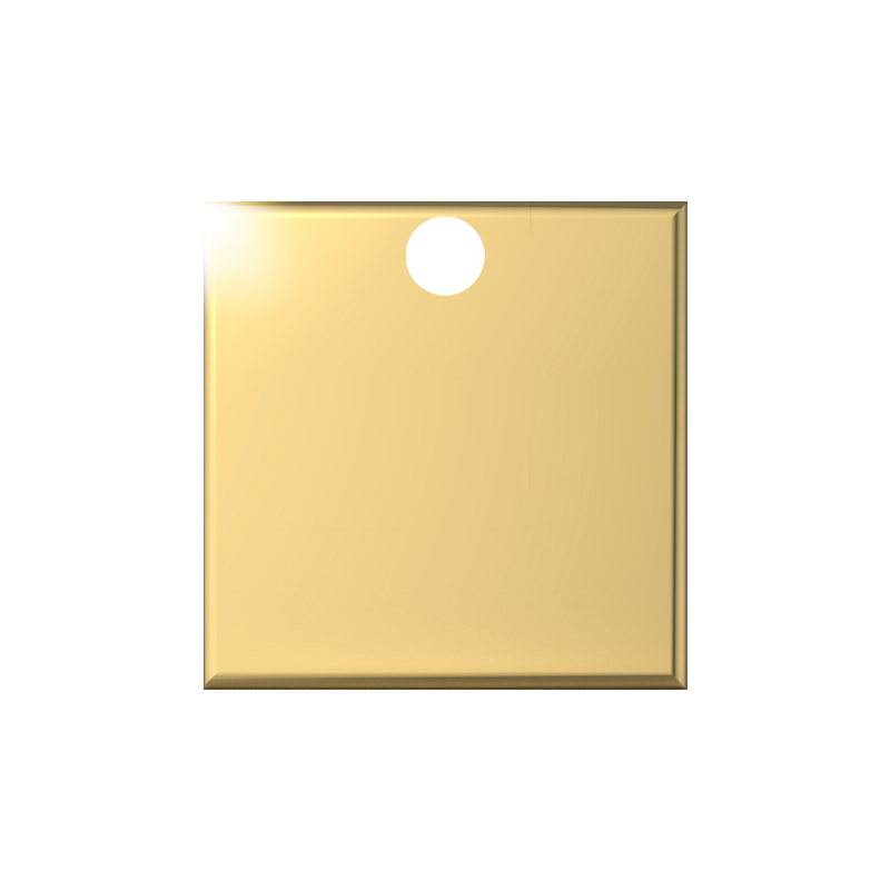 Chip-PNG-2_0006_Finish-Chips-_PG